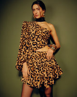 Vestido Animal Print Um Ombro